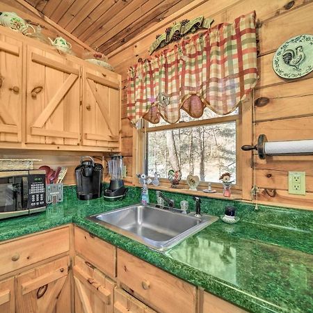 Franklin Cabin With Porch Near Hiking And Waterfalls! Exterior photo